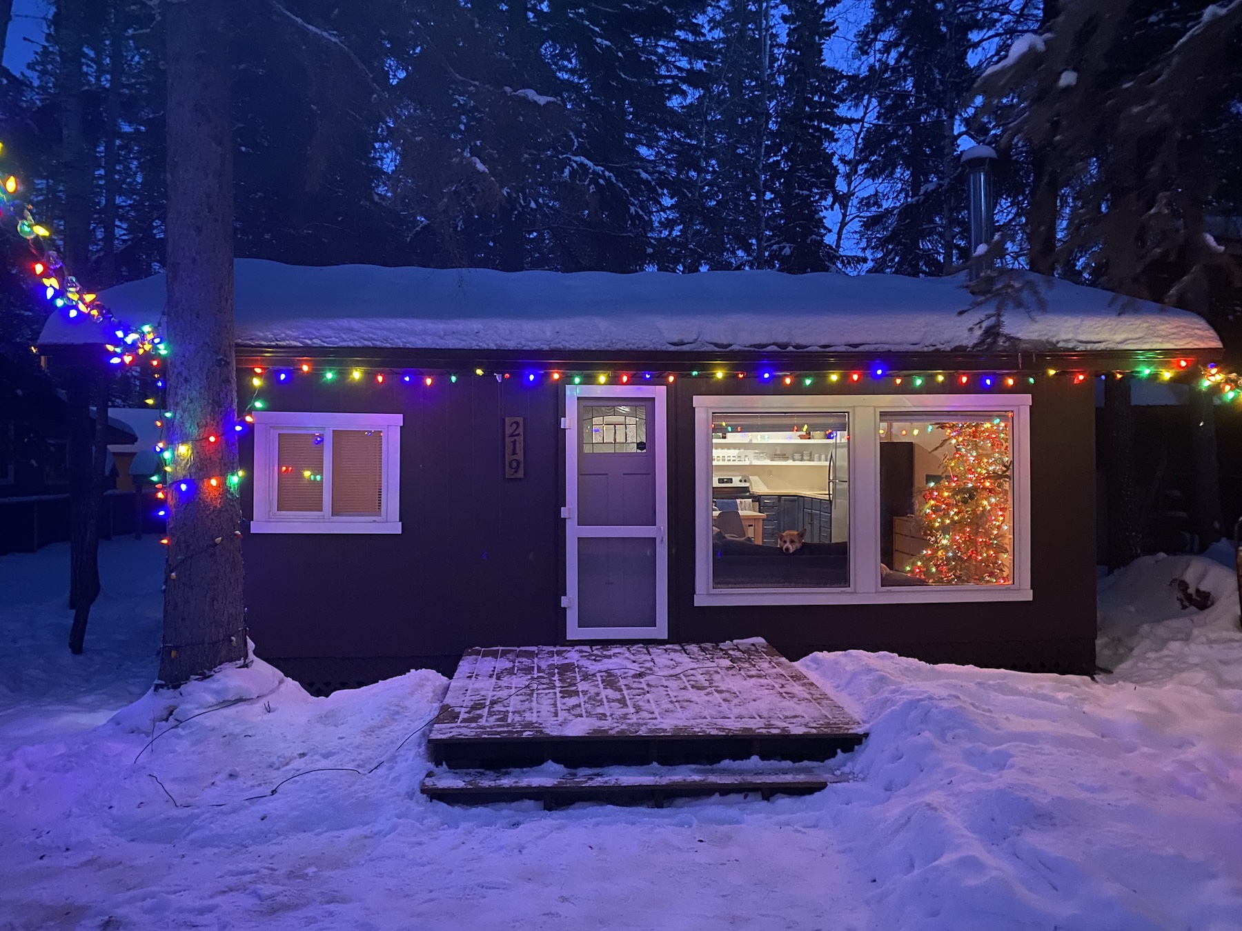 Discover the joys of winter activities at Emma Lake, from cross-country skiing to cozy cabin Christmases, in our latest blog post.